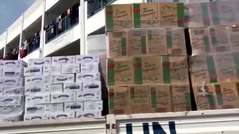 'Insane bureaucracy' with Gaza food aid: WFP chief