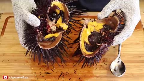 How to open and prepare LIVE Sea Urchin Uni_Cut