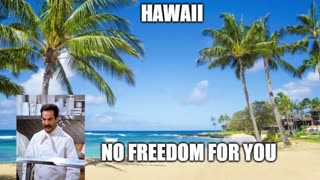 You wont believe this new Hawaii Law!