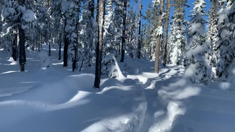 Refreshing Snow Hiking – Central Oregon – Swampy Lakes Sno-Park – 4K