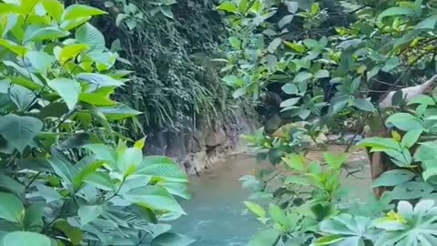 Ada Curug baru nih di bogor!