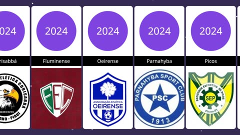 CAMPEONATO PIAUIENSE 2024 PARTICIPANTES