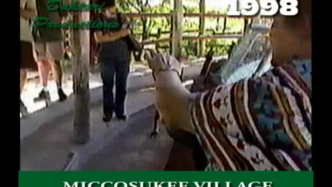 1998 M10 Viaje a Miami - Miccosukee Indian Village - Demonstración de un cocodrilo