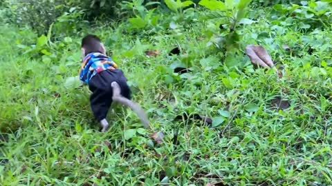 Cute Monkey Using A Balloon To Fly To The Park To Play With The Ducks