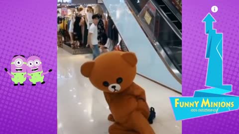 funny video | comedy chinese brown teddy bear video | Godzilla