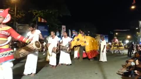 Dancing elephants - Navam Perahera