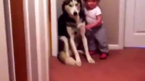 Baby scared of vacuum runs to dog for protection