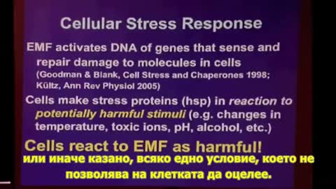 Prof. Martin Blank: Pseudoscientists are presenting FALSE DATA on the harm of EM networks!