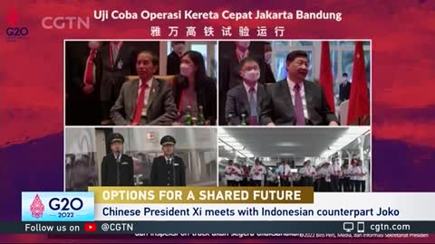 Xi, Widodo witness Jakarta-Bandung High-Speed Railway trial run