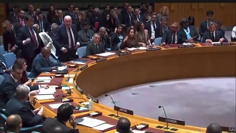 Awkward moment in UN Security Council just now