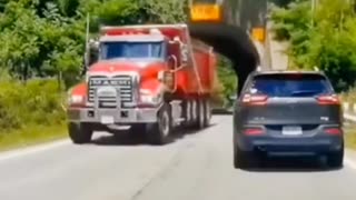 Silly driver
