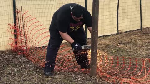 Husband Cuts Down Pole to Save Starling