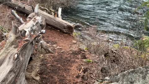 Wilderness Adventuring Riverside – Metolius River – Central Oregon