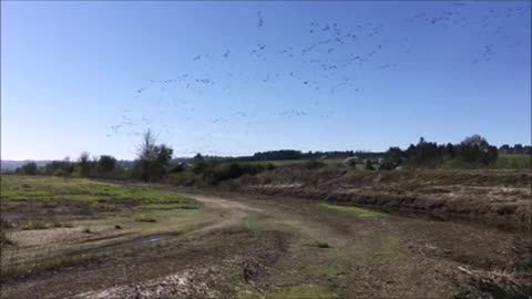 Wapato Lake National Wildlife Refuge opening to public access in Fall 2020_2