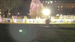 Biden Admin DESPERATELY Tries To Keep The White House Christmas Tree From Falling Over