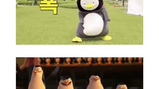 os pinguins de mandagascar