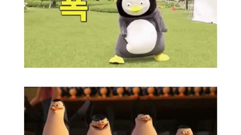 os pinguins de mandagascar