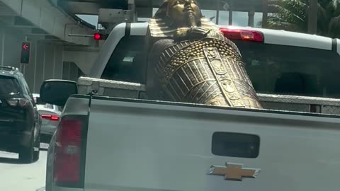 Truck Bed Sarcophagus