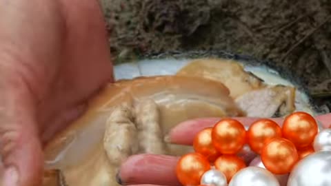 🤯😲 Pearl hidden in clam meat.#Pearl # funnyvideo # Oyster