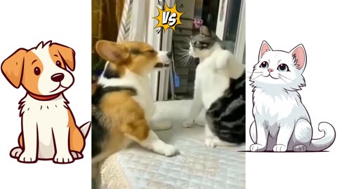 Cat vs Dog, Funny cat and dog, funny animal video