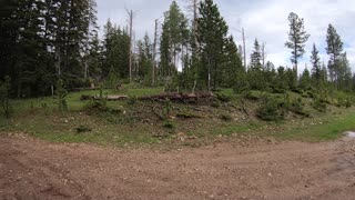 Black Hills South Dakota UTV Trail Ride Day 1 Part 1 Easy Trails