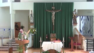 Homily for the 21st Sunday in Ordinary Time "A"