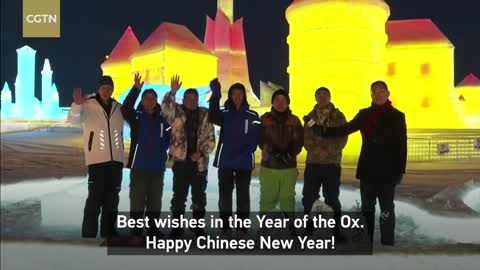 Ox-shaped ice sculptures for China's Year of the Ox