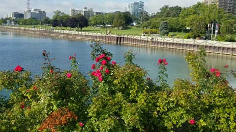 A Gorgeous walk at Spencer Smith park, Burlington.