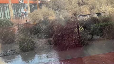 Atmospheric River Sends Sea of Tumbleweeds Across Central California