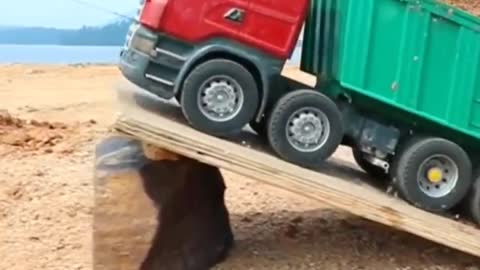 Truck Jump Big Pit _ #shorts #viralvideo #yt20