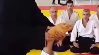Master-of-the-aikido