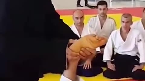 Master-of-the-aikido