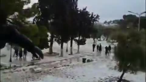 Muslims Throwing Snowballs at Jews on the Temple Mount - Muslim Angle