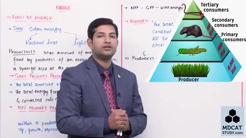 LEC#4 FLOW OF ENERGY IN FOOD CHAIN