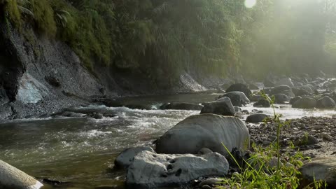 Zen Flow: 20 Minutes of Serenity - Relaxing Water Stream Meditation