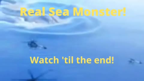 Real Sea Monster Footage Sightings!!