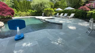 Gunite Pool Renovation Nassau Long Island NY