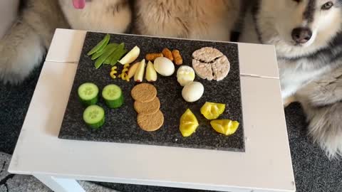 Dogs Review Food | Malamute Taste Test!-3