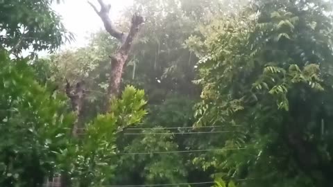 Heavy Rain 🪨☔ in Dehradun Uttarakhand India