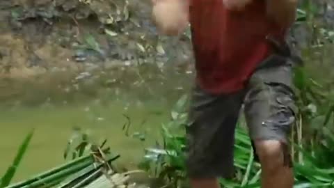 Just Watch Eel Attack