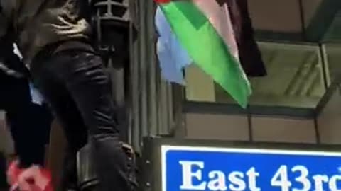 Hamas supporters take down US flags on Veterans day, replace with Palestinian