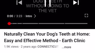 Dog tooth care
