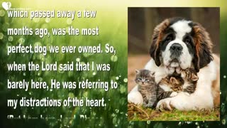 The unconditional Love of a Dog as Consolation for Man ❤️ Love Letter from Jesus Christ