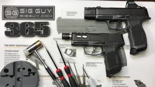 SIG Sauer P365 COMPLETE disassembly. Part 1 of 2