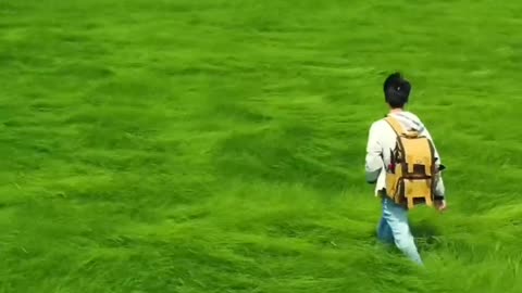 Walking through Beautiful Green fields