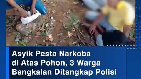 Asyik Pesta Narkobadi Atas Pohon, 3 Warga Bangkalan Ditangkap Polisi