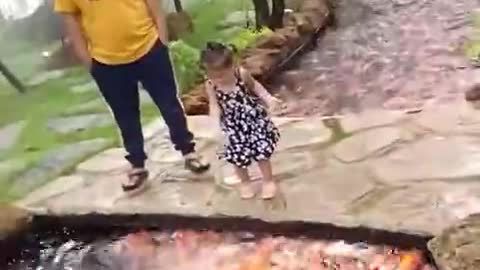 A spectacular scene of a school of koi rice