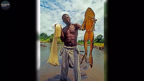 TALLEST ANIMALS IN THE WORLD