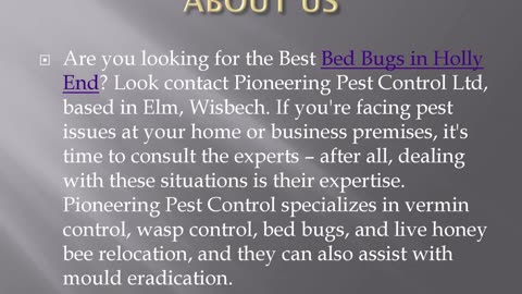 Best Bed Bugs in Holly End