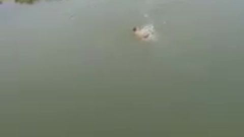 Dog saves a drowning man